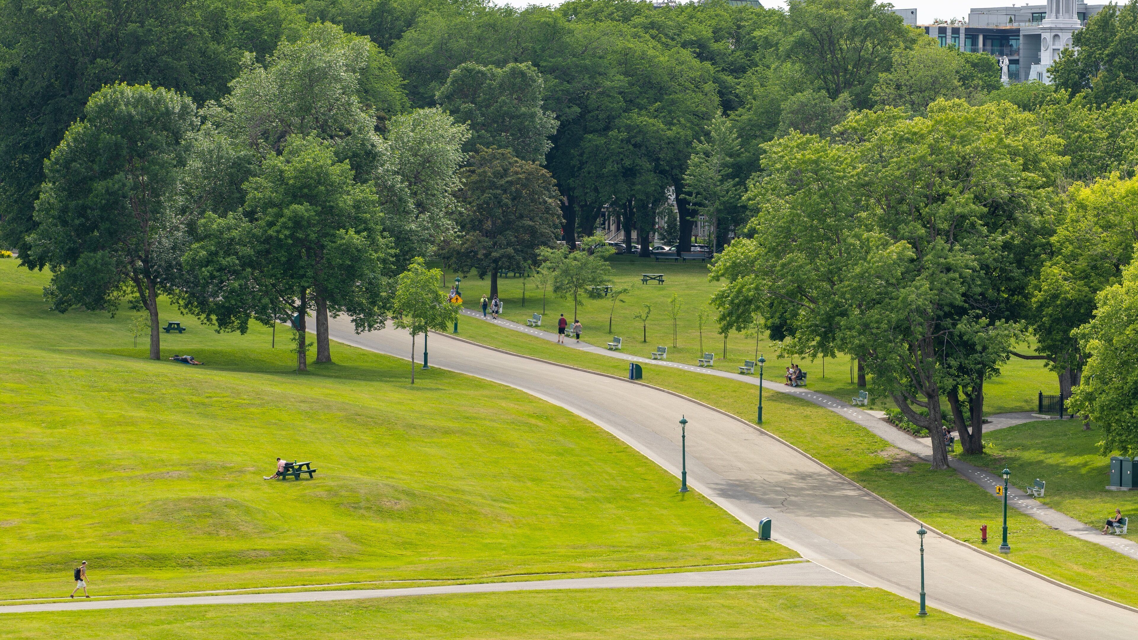 Plains of Abraham featuring a garden