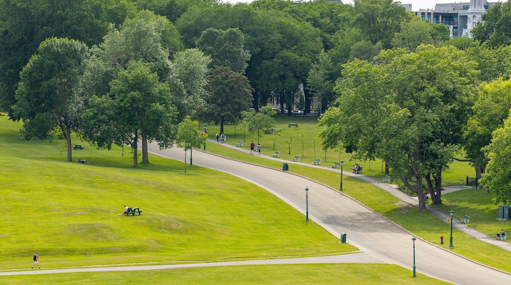 Plains of Abraham featuring a garden