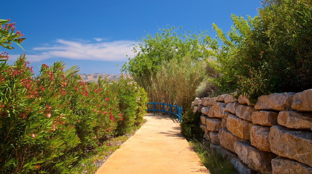 Aqua Natura showing wildflowers and a park