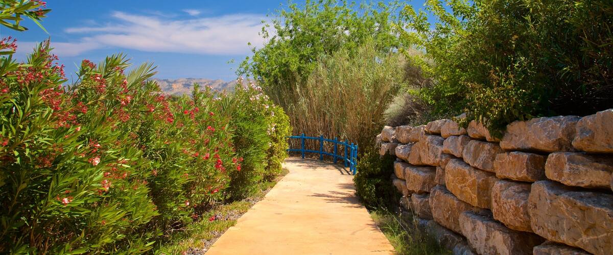Aqua Natura showing wildflowers and a park
