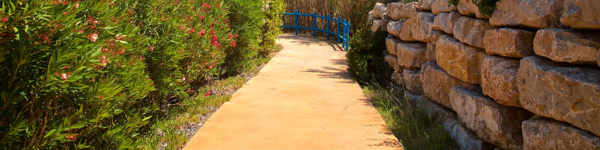 Aqua Natura showing wildflowers and a park