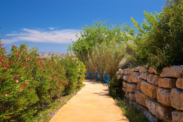 Aqua Natura showing wildflowers and a park