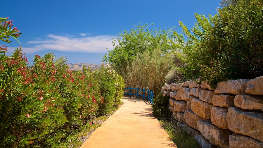 Aqua Natura showing wildflowers and a park