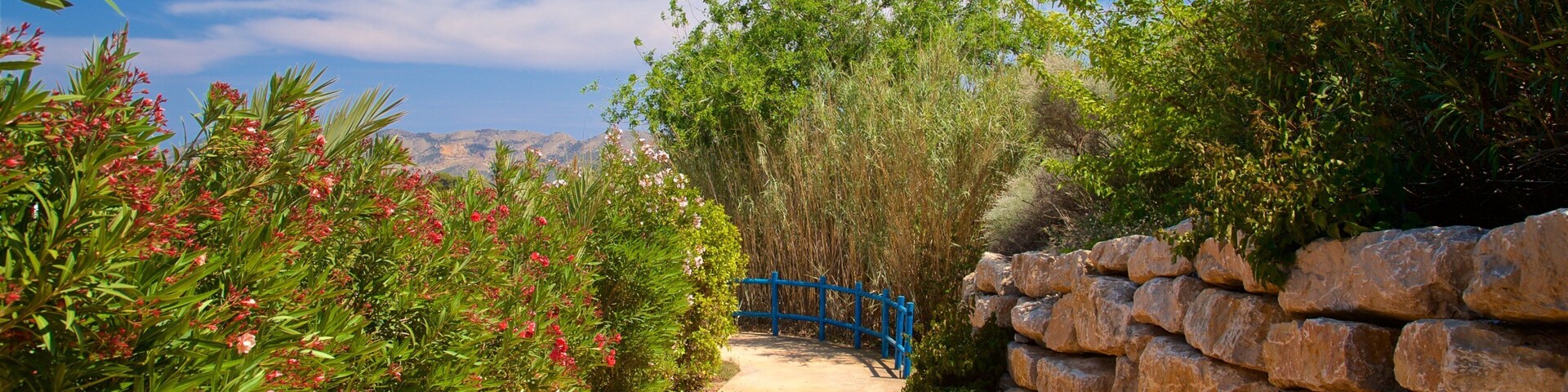 Aqua Natura showing wildflowers and a park