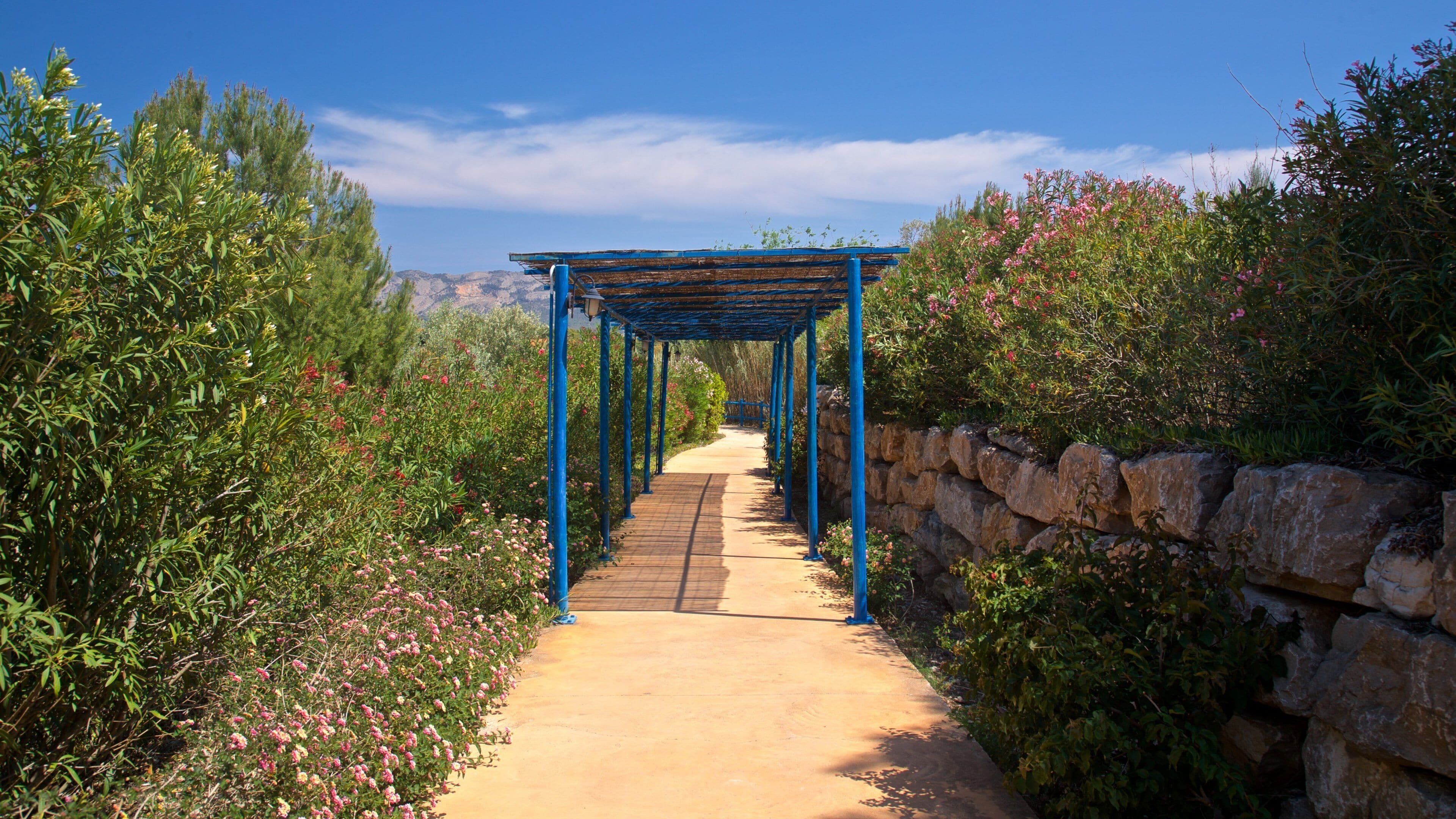 Aqua Natura which includes a garden and wildflowers