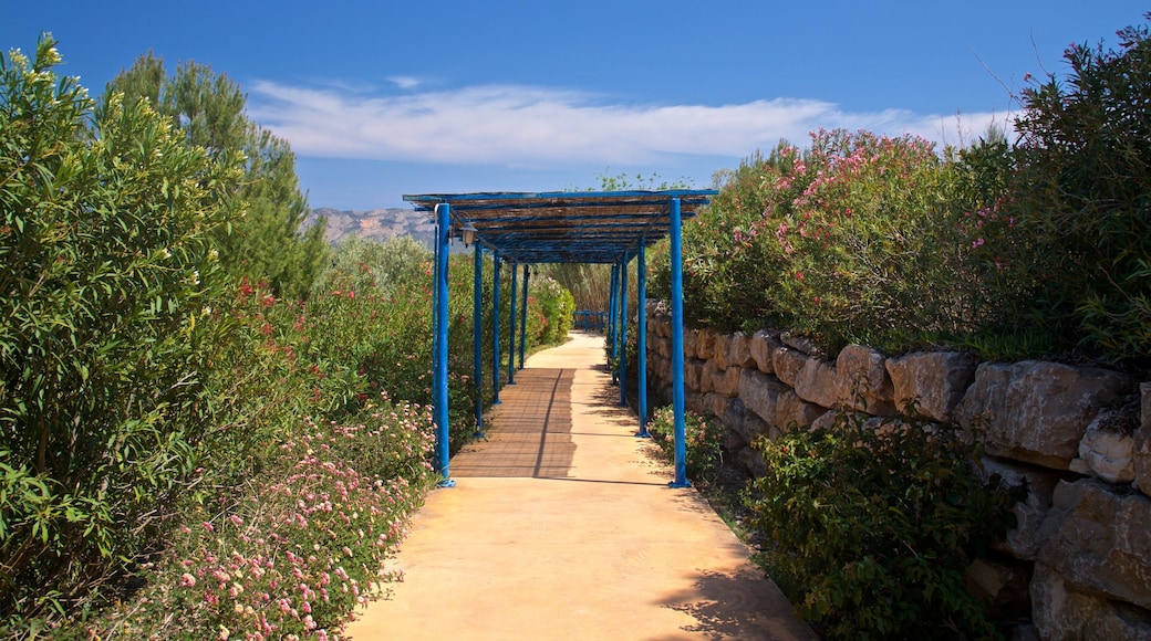 Aqua Natura which includes a garden and wildflowers