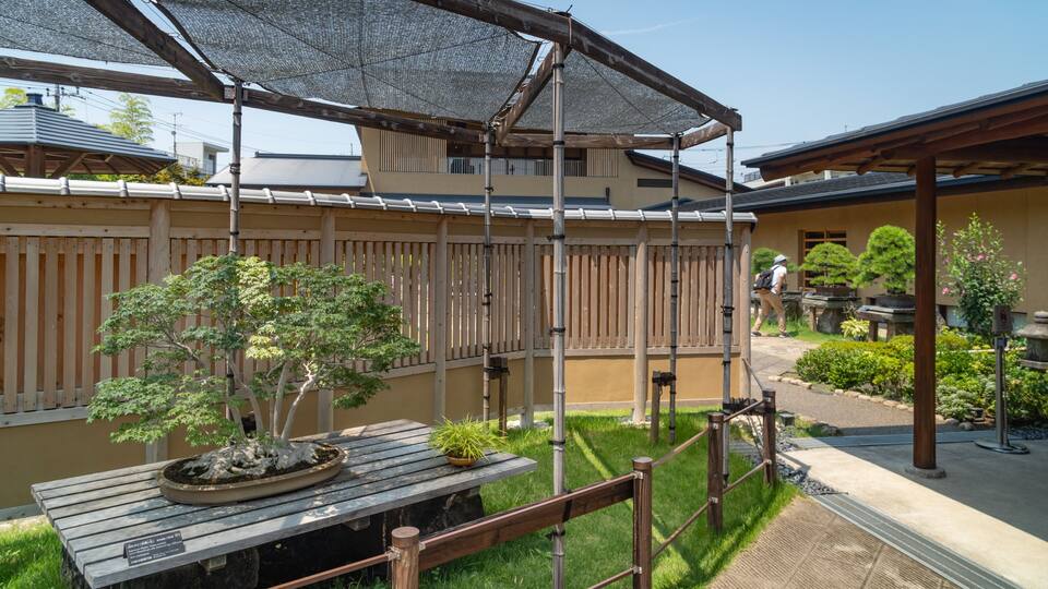 A traditional Japanese garden with a wooden fence, a covered seating area, and a bonsai tree.