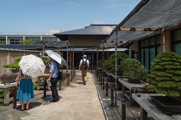 Omiya Bonsai Art Museum