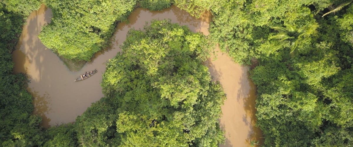 An aerial view of a river winding through a dense, green forest.