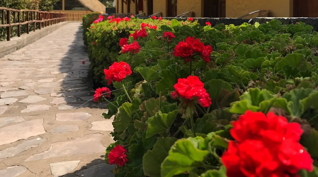 Showcasing a year-round outdoor pool and hot spring bath, Hotel El Refugio is located in Chivay.