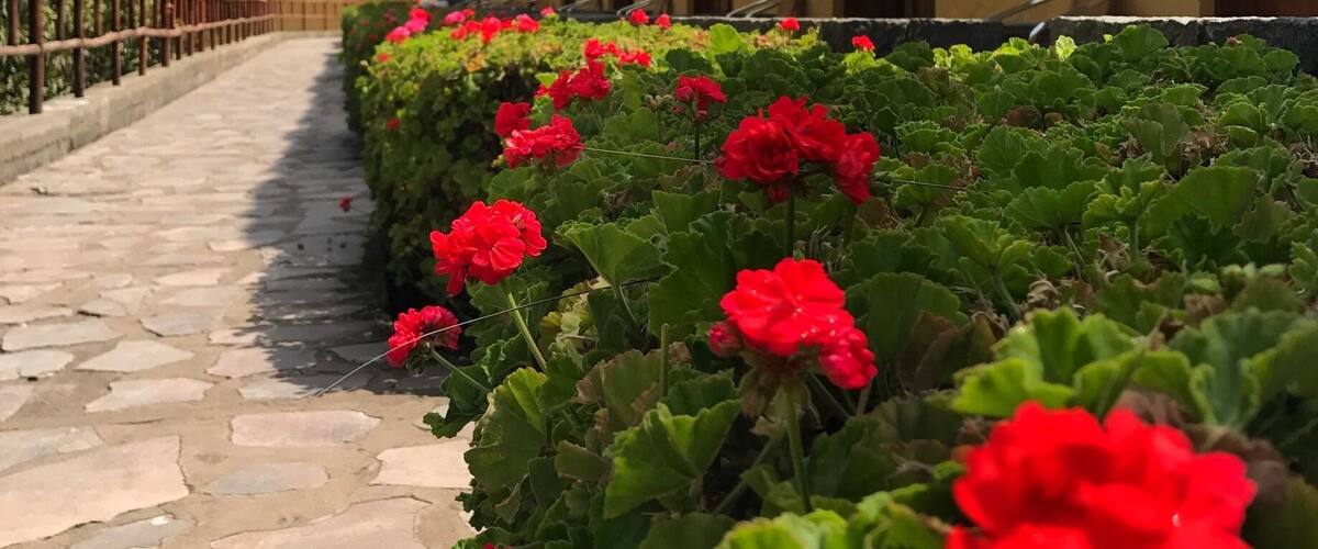 Showcasing a year-round outdoor pool and hot spring bath, Hotel El Refugio is located in Chivay.