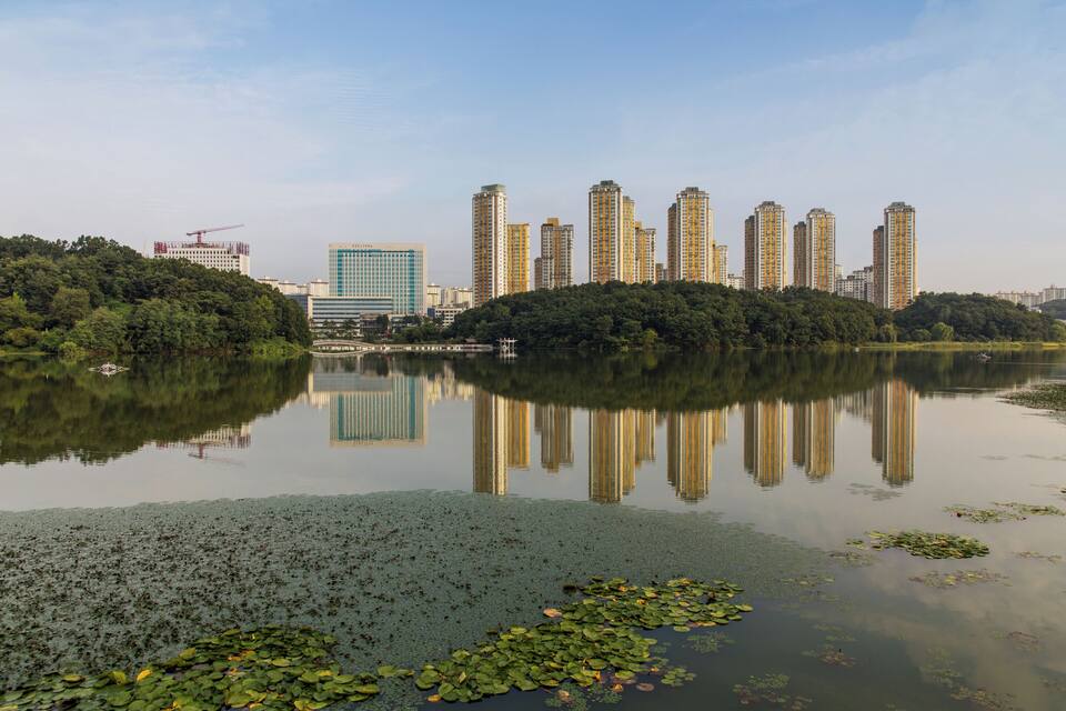 Un lac paisible, parsemé de nénuphars, entouré d’une végétation luxuriante et bordé d’immeubles imposants dont les façades se reflètent dans l’eau.