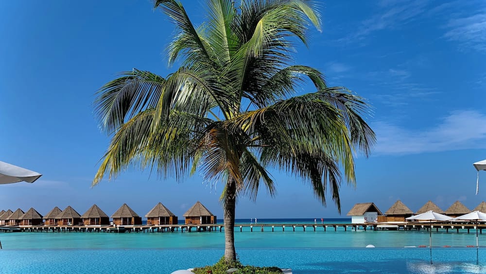 Relaxing in the sun.