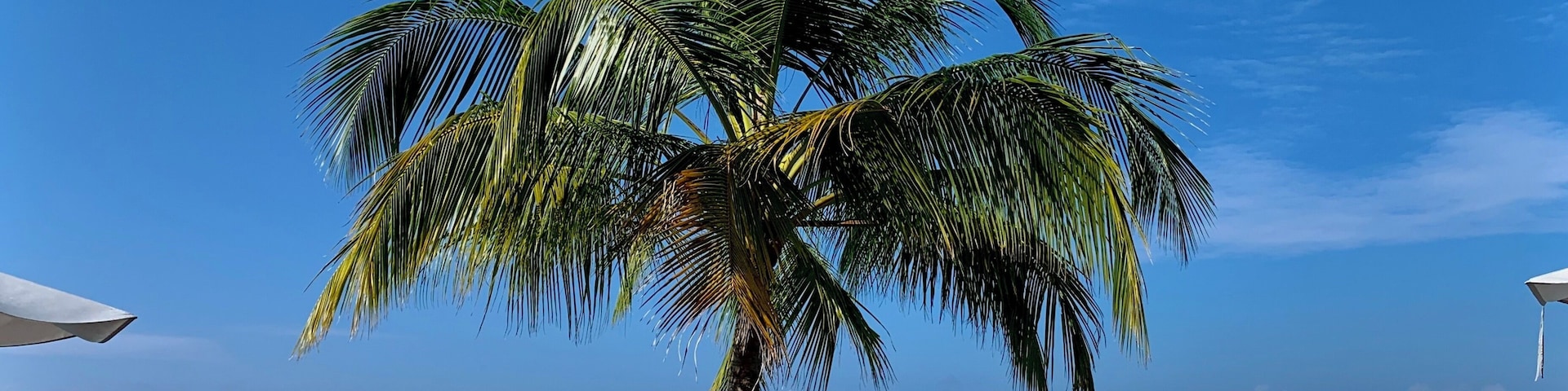 Relaxing in the sun.