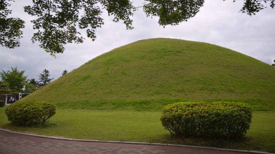 Cheonmachong showing a park