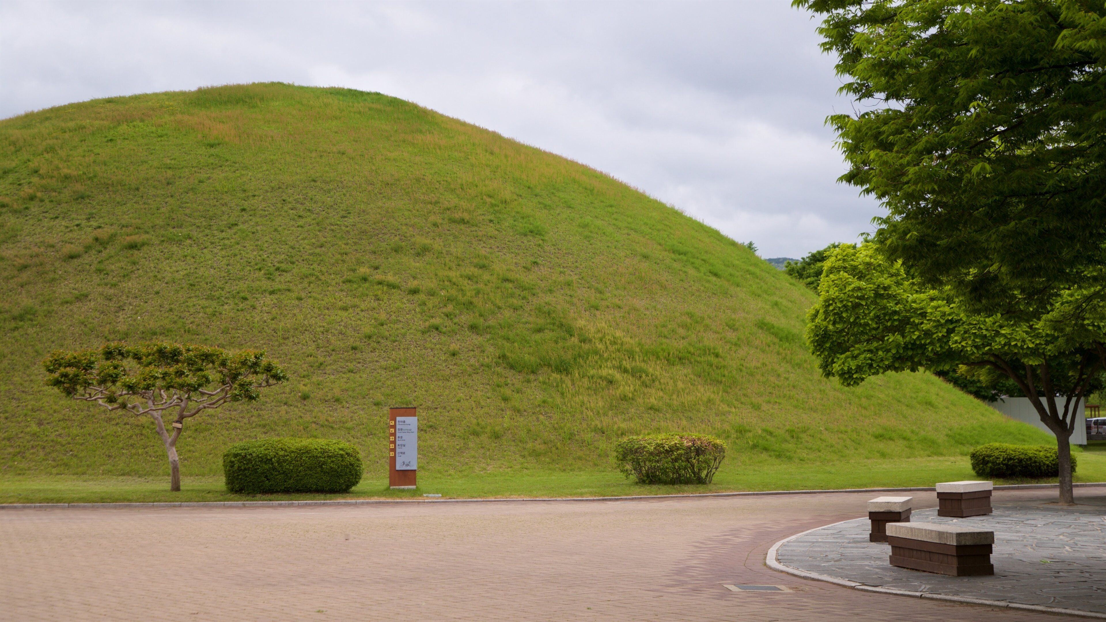 Cheonmachong featuring a park