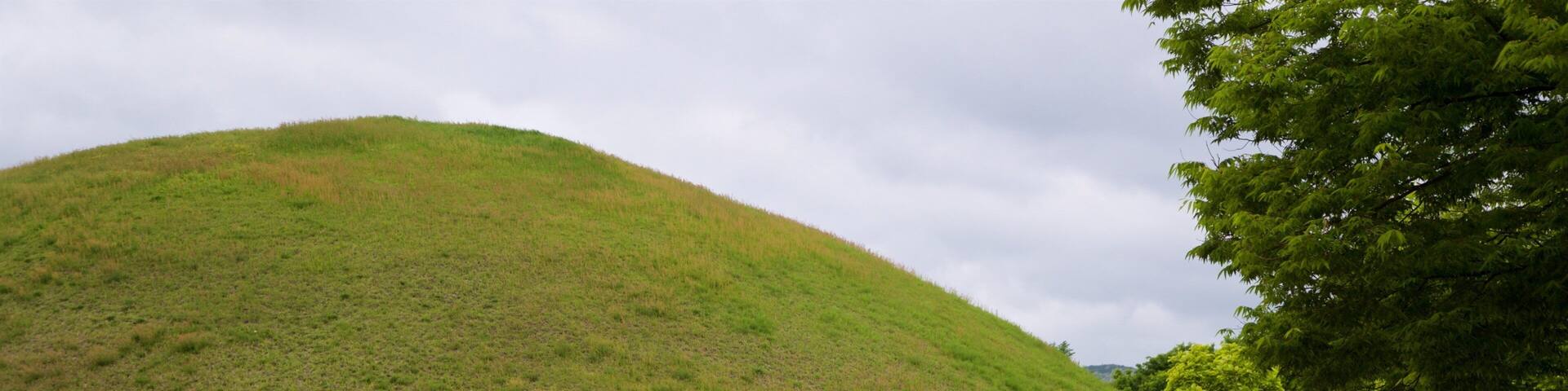 Cheonmachong featuring a park
