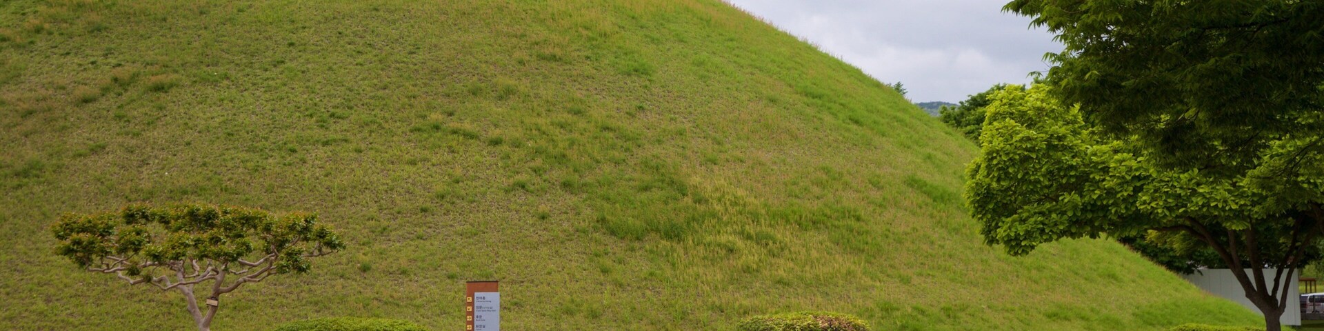 Cheonmachong featuring a park