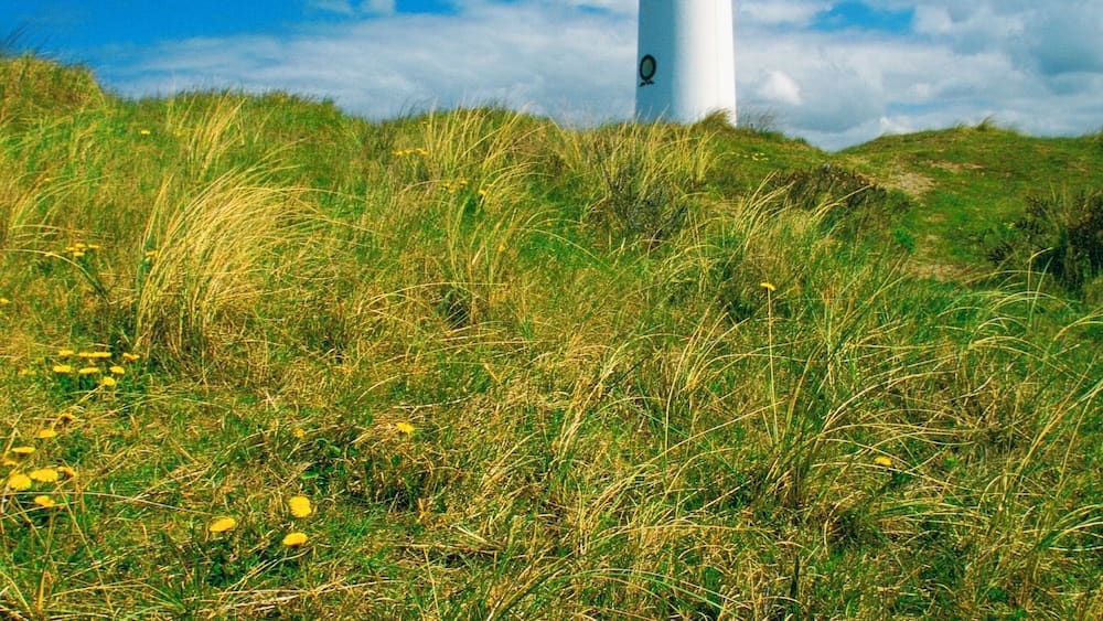 Low angle view of a lighthouse, Egmond, Netherlands