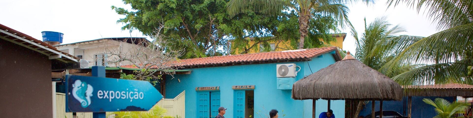 Ipojuca showing signage and a garden