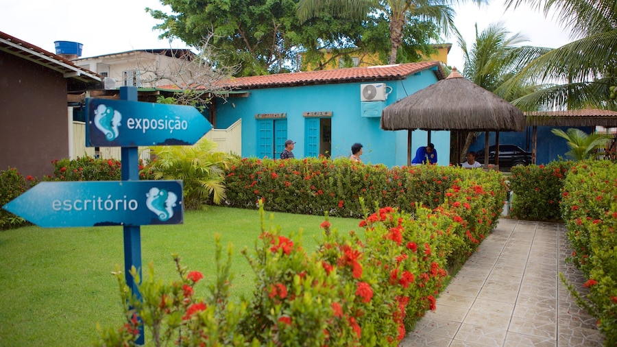 Ipojuca que incluye señalización y un jardín