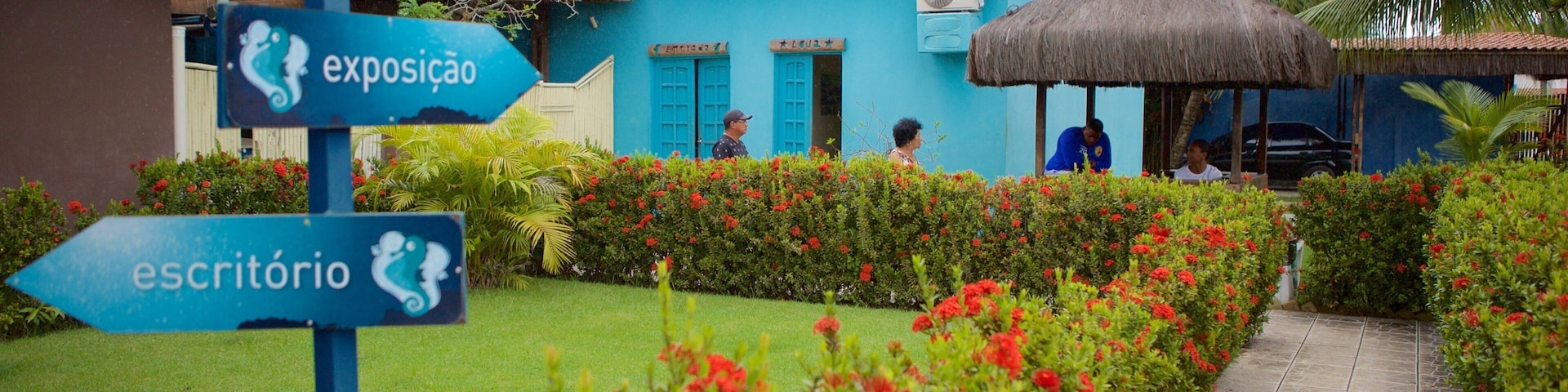 Ipojuca showing signage and a garden
