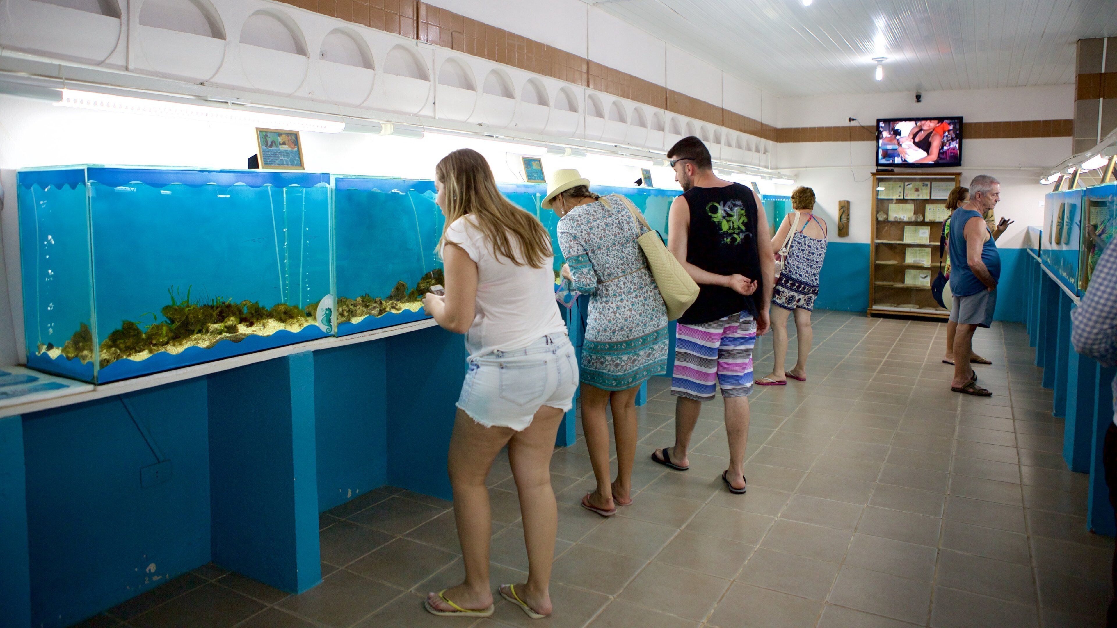 Escritório do Projeto Hippocampus mostrando vistas internas e vida marinha assim como um pequeno grupo de pessoas