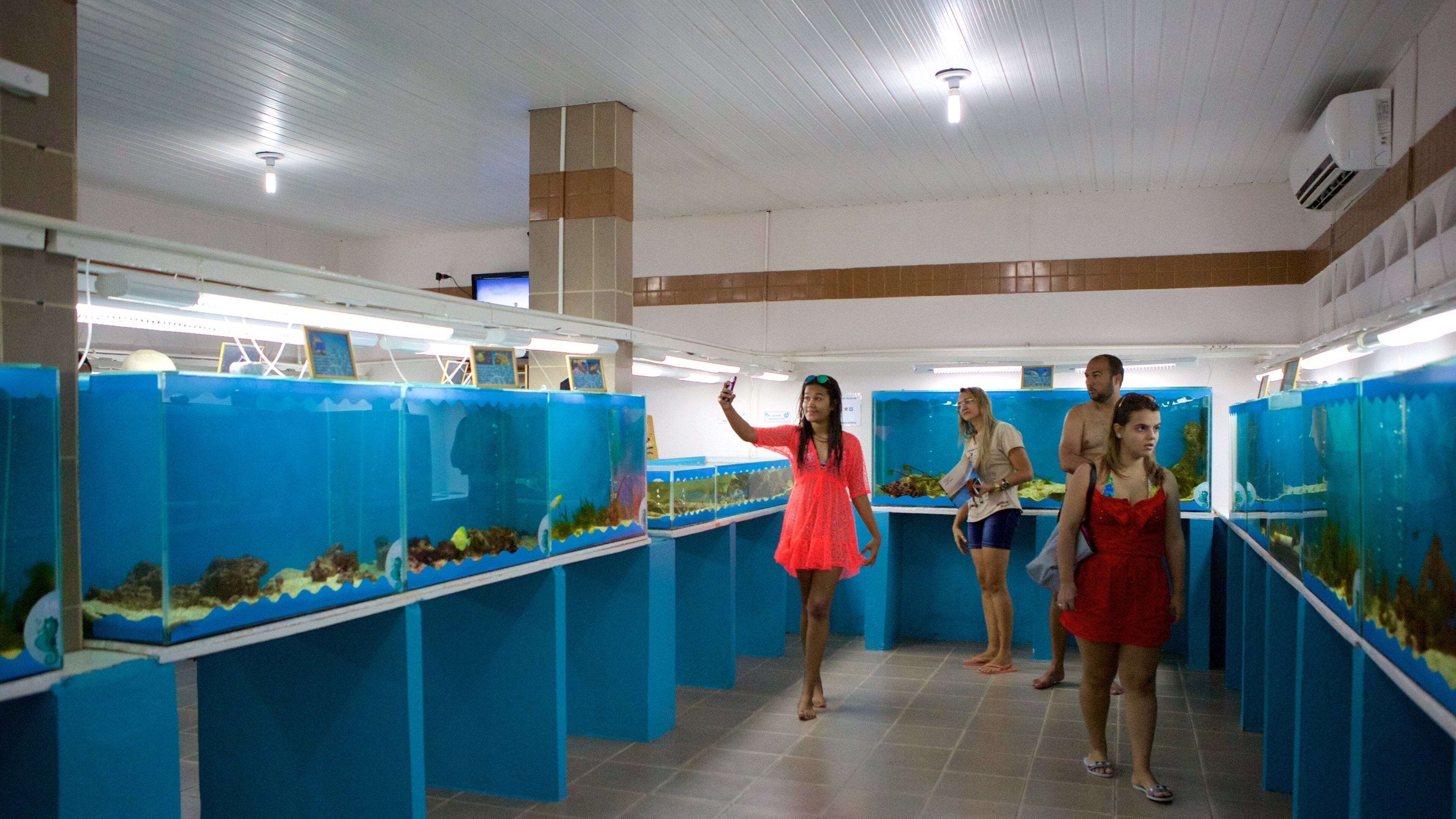 イポジュカ 表示 海洋生物 と 屋内の眺め 及び 少数の人々