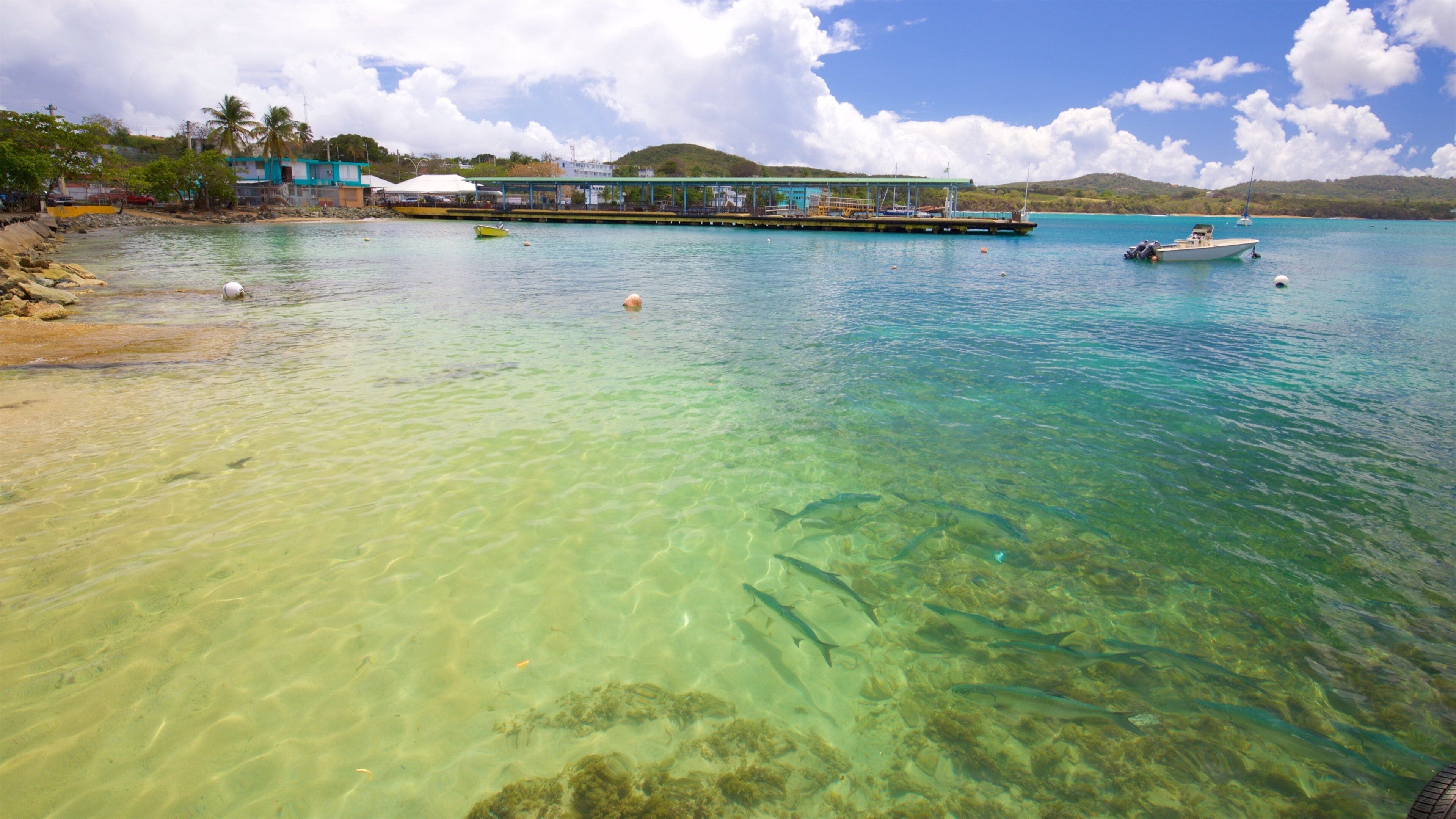A clear coastal area with a pier, boats, and a beach.