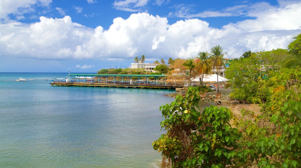 Vieques Ferry Terminal which includes general coastal views