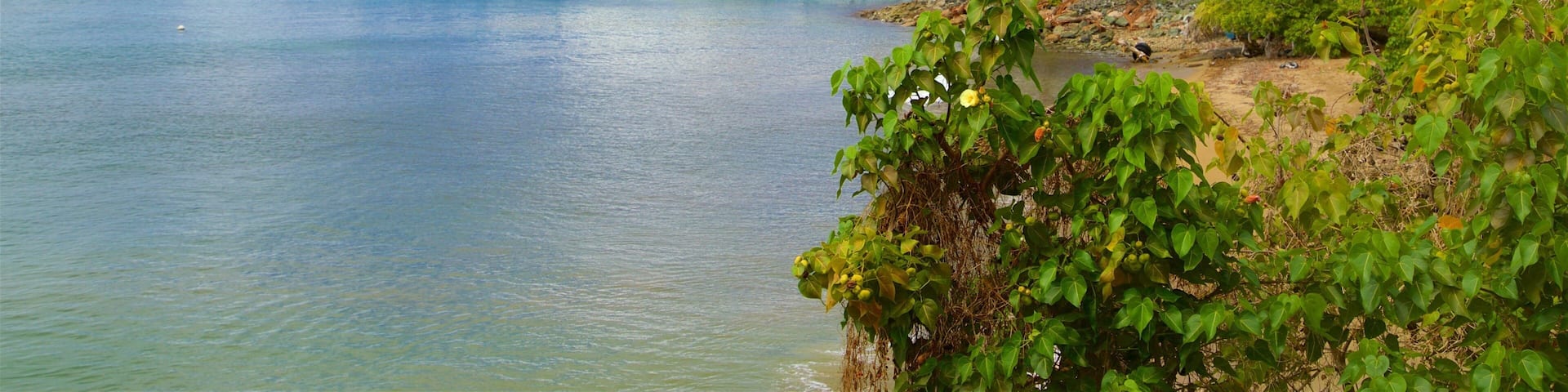 Vieques Ferry Terminal which includes general coastal views