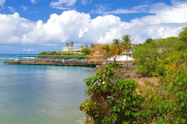 Vieques Ferry Terminal which includes general coastal views