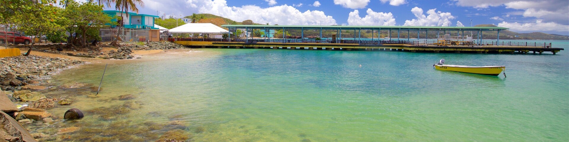 Vieques Ferry Terminal featuring general coastal views