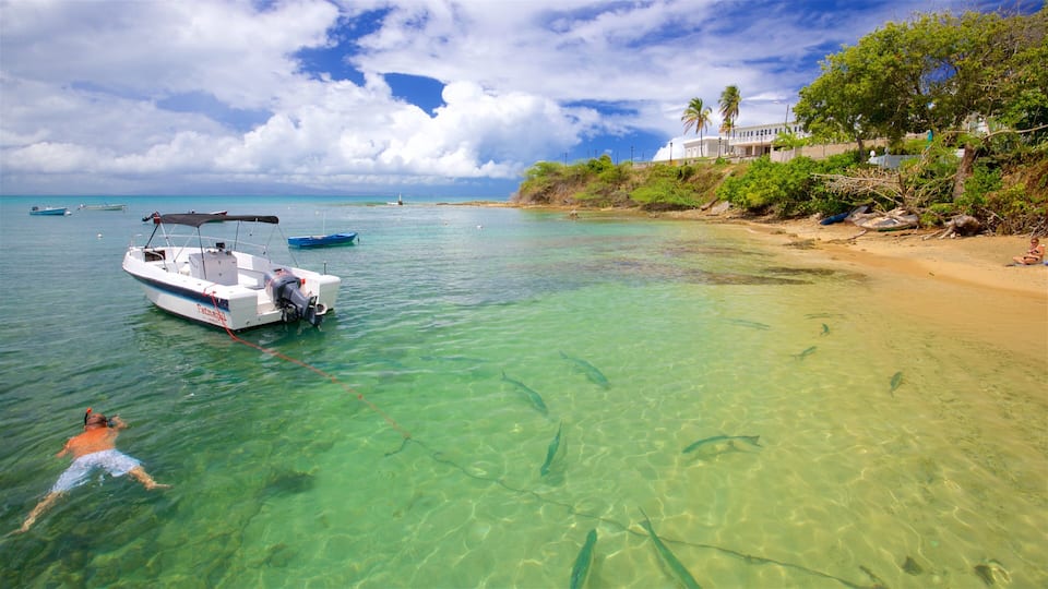 Vieques Ferry Terminal
