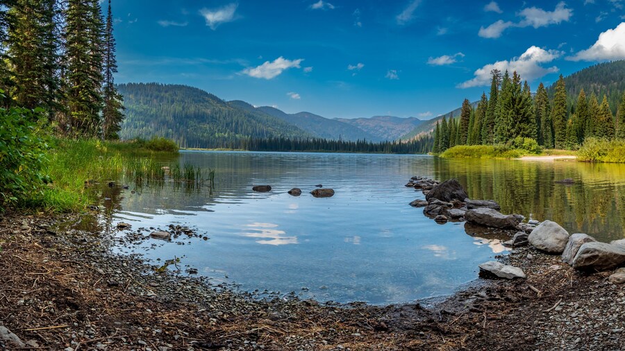 Parque estatal del lago Whitefish