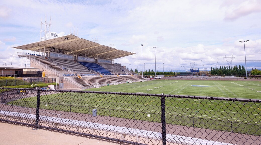Estadi de Hillsboro
