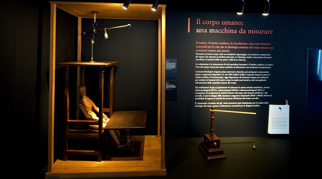 MUSME bevat bewegwijzering en interieur