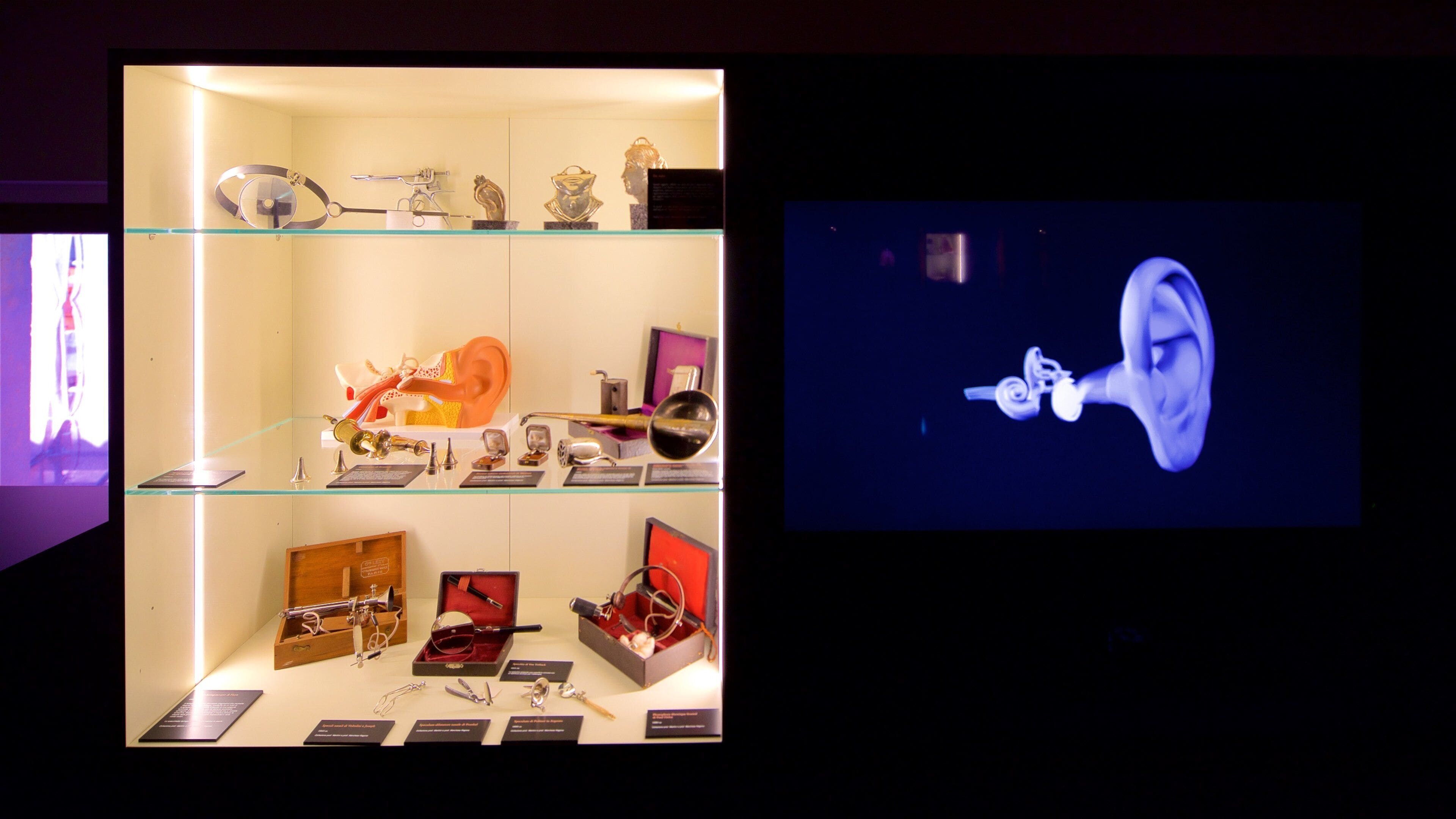 MUSME inclusief interieur