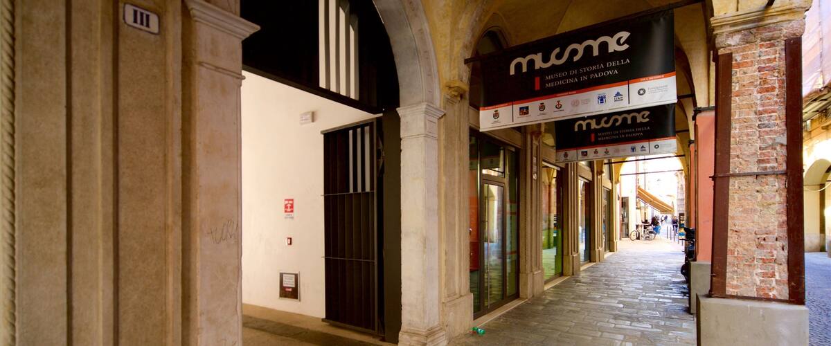 MUSME qui includes signalisation