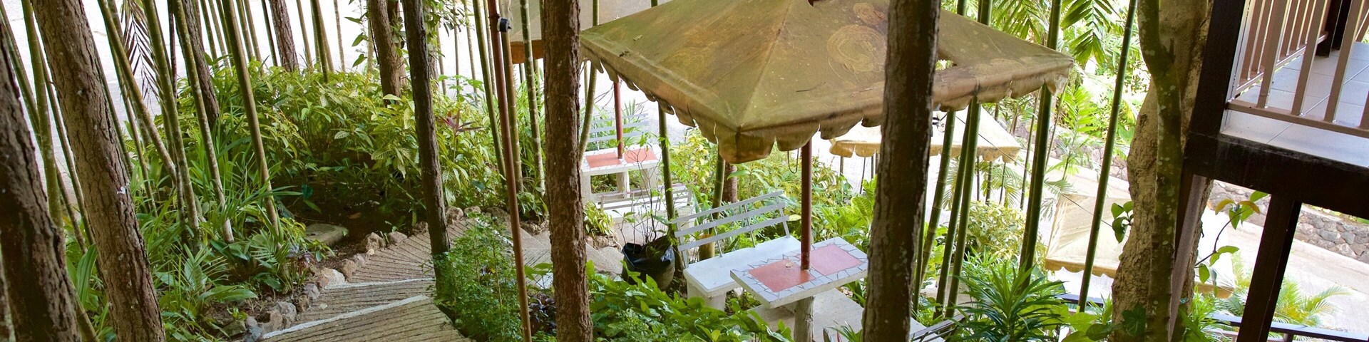 宿霧 设有 花園