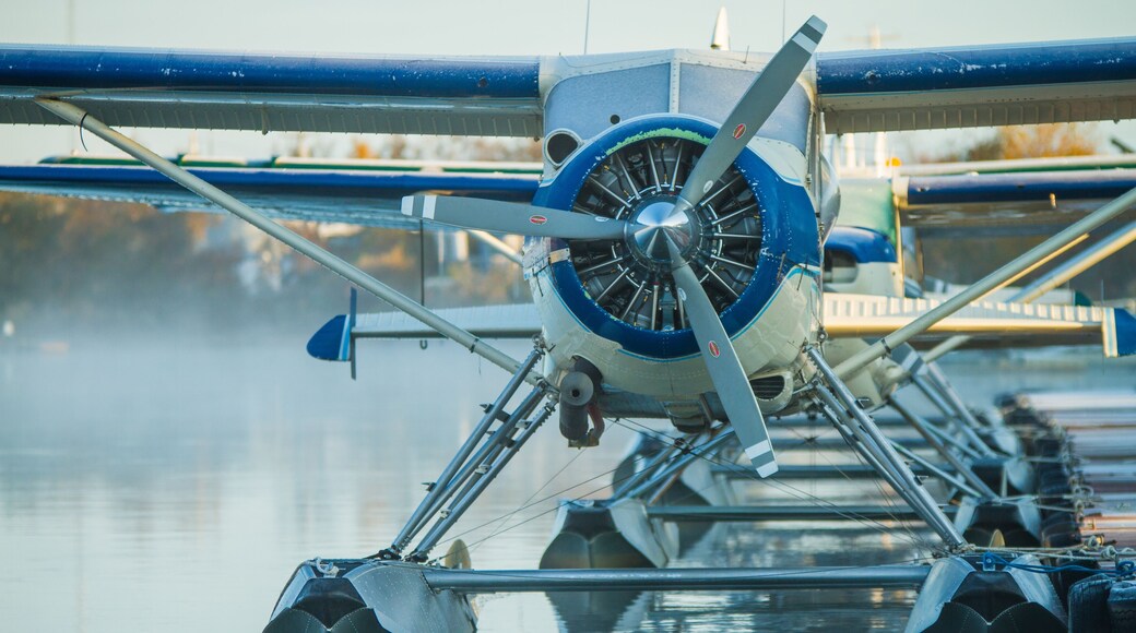 Muelle de King Salmon