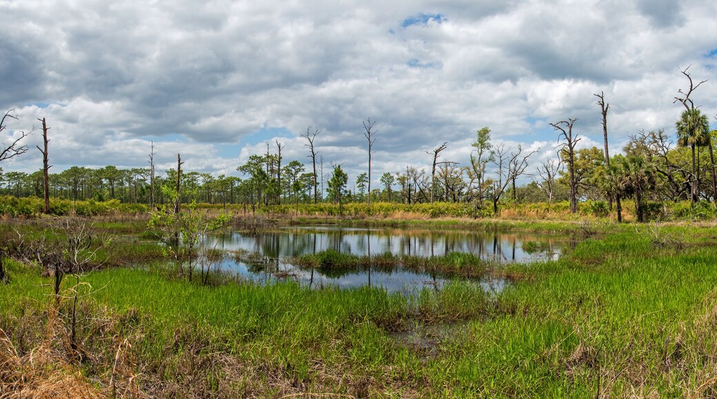 Hutan Simpan Negeri Rock Springs Run