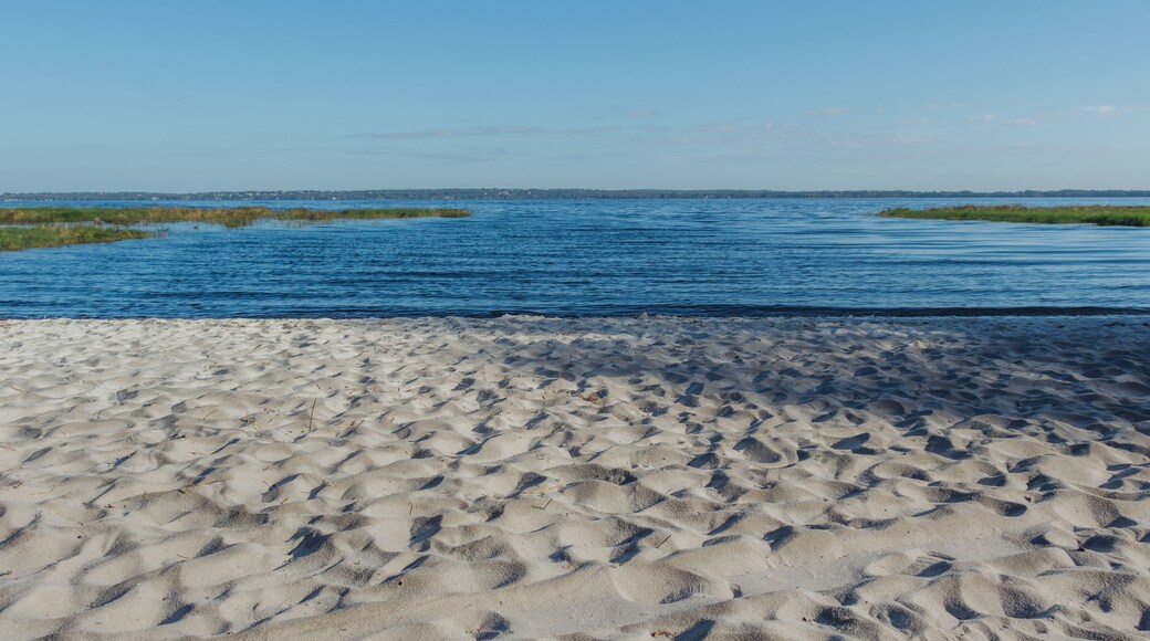 White sand beach at Lake Louisa State Park in Clermont, a suburb of Orlando, Florida.