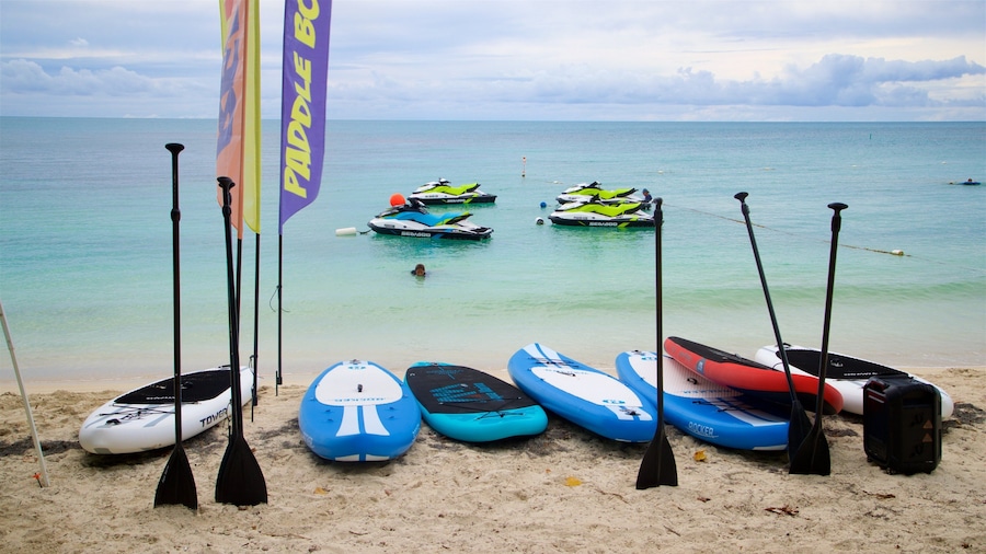 Pranchas de paddle, caiaques e uma bandeira em uma praia, com o oceano ao fundo.