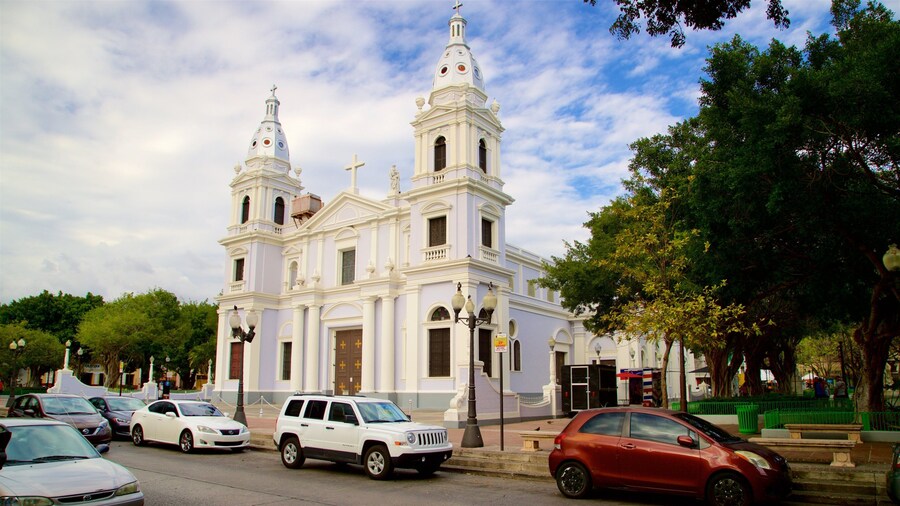 Cathedral of Our Lady of Guadalupe
