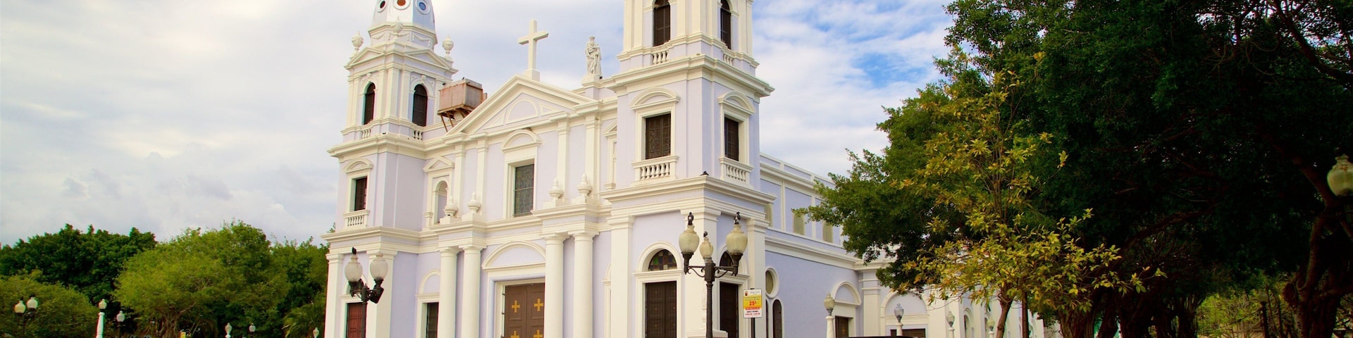 Cathedral of Our Lady of Guadalupe
