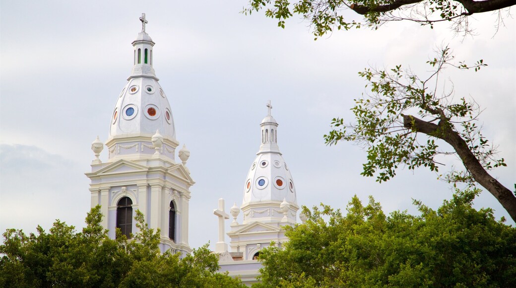 Cathedral of Our Lady of Guadalupe