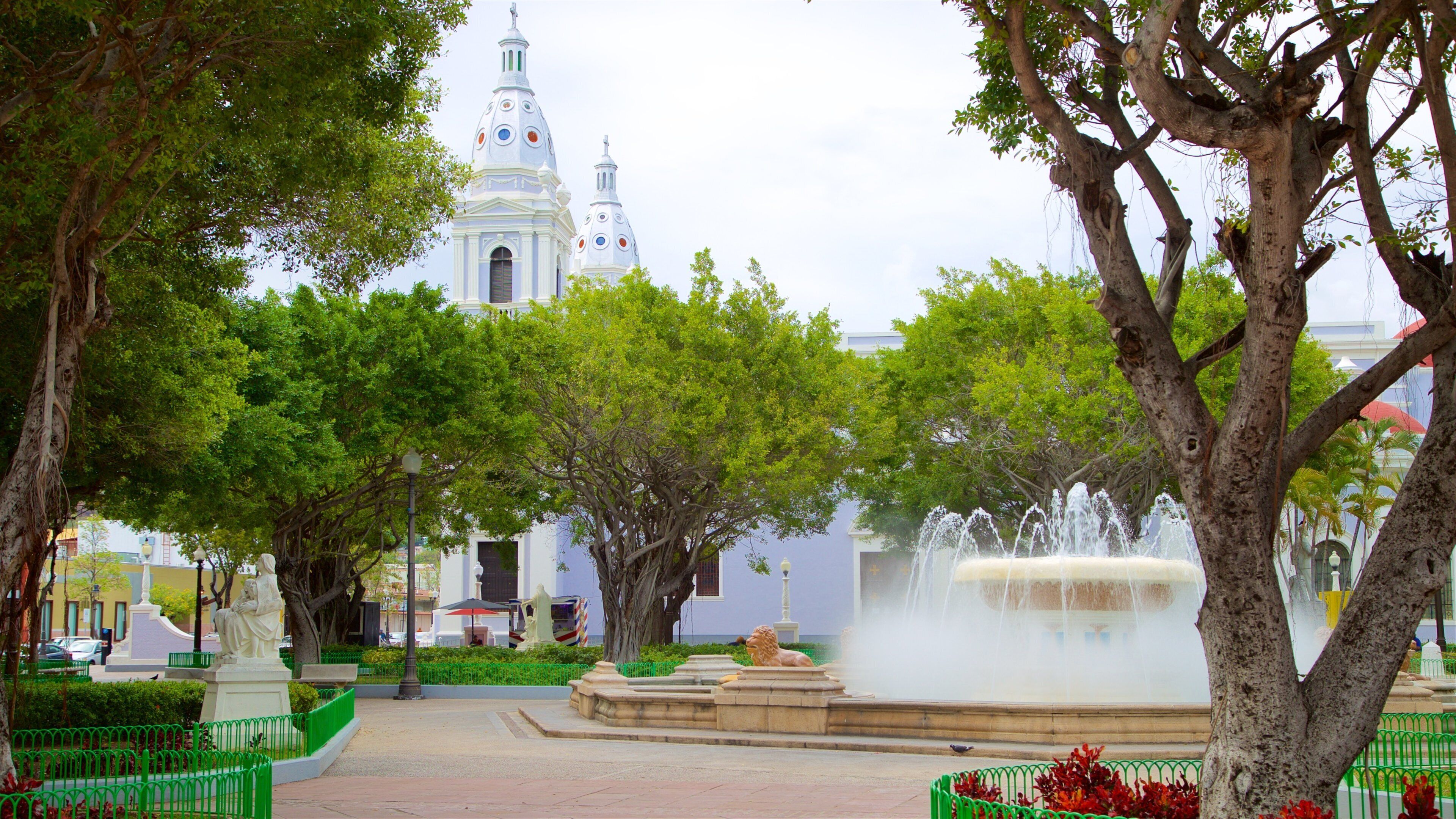 Cathedral of Our Lady of Guadalupe