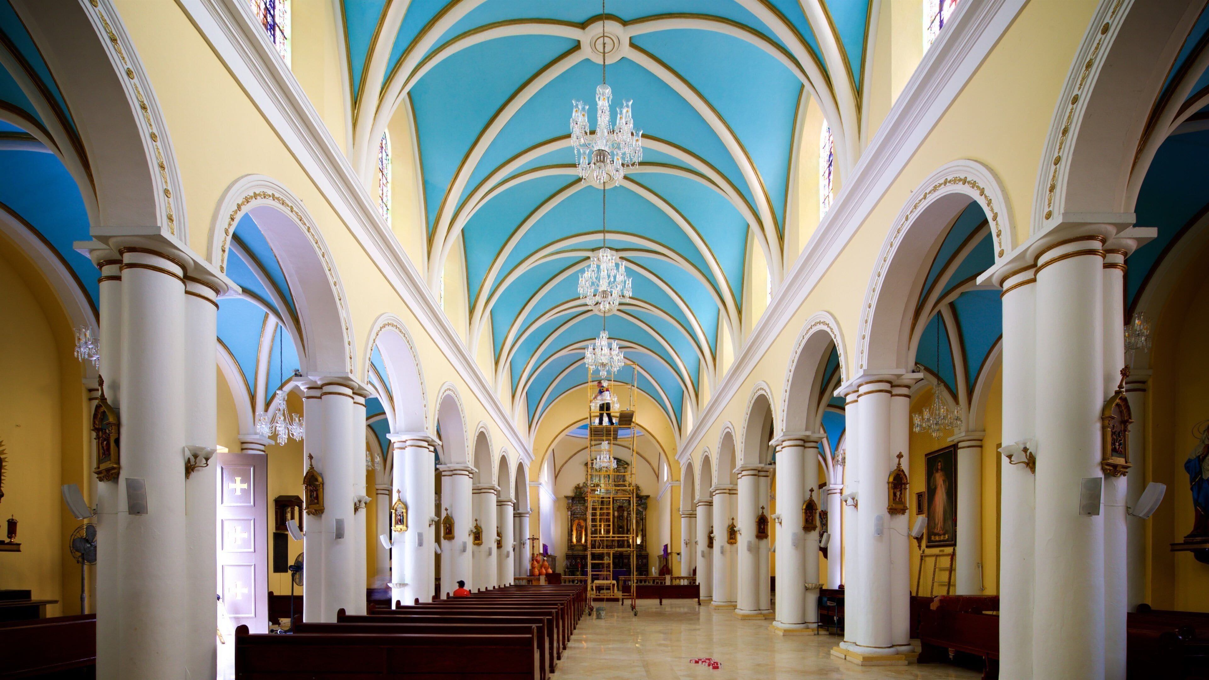 A church interior with blue vaulted ceilings, white columns, and wooden pews.