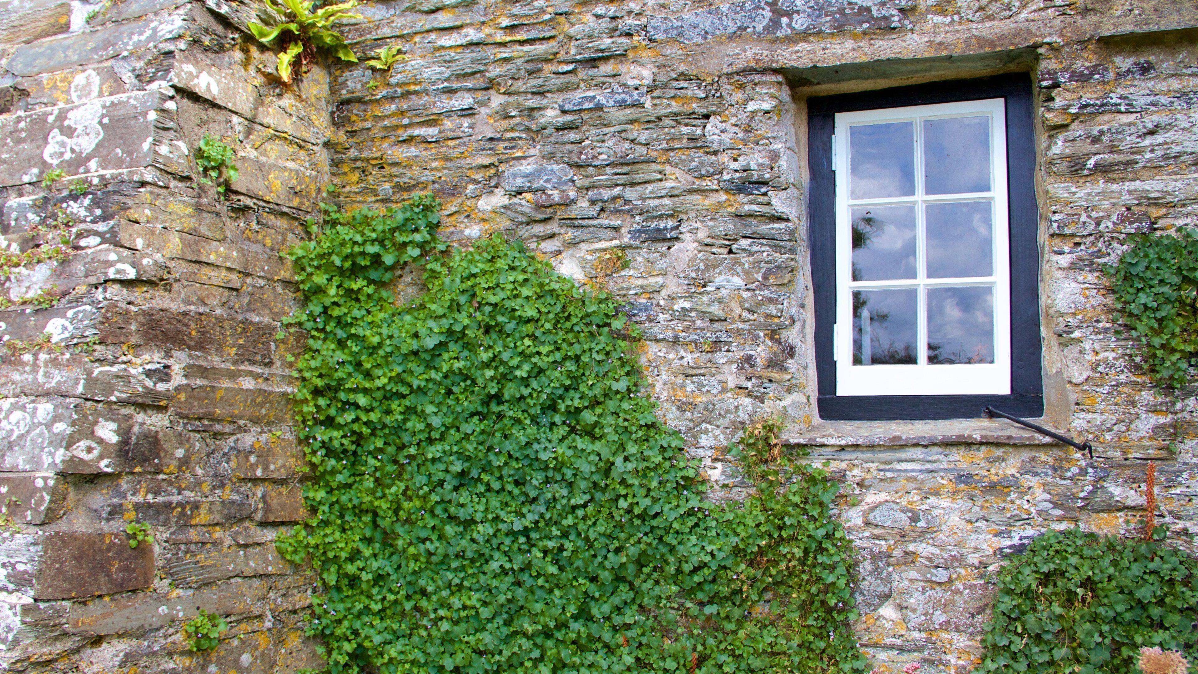 Tintagel Old Post Office showing heritage elements